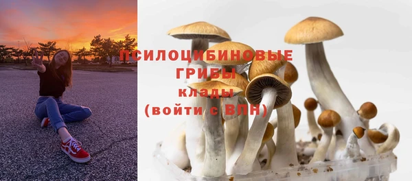 синтетический гашиш Богородск