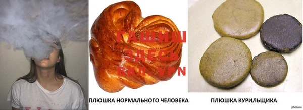 PSILOCYBIN Богданович