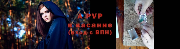 мескалин Богородицк