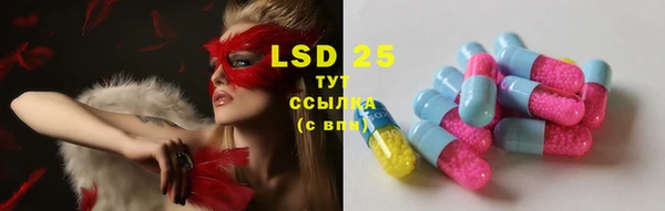 PSILOCYBIN Богданович