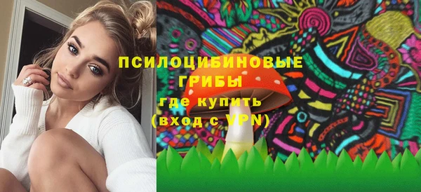 синтетический гашиш Богородск