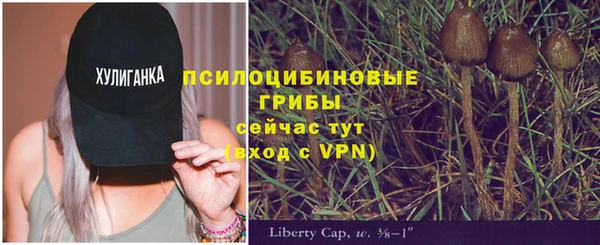 PSILOCYBIN Богданович