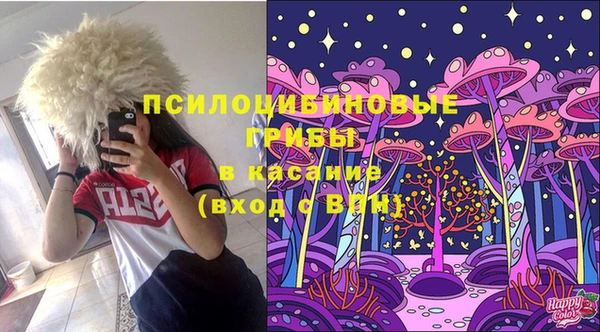 мескалин Богородицк