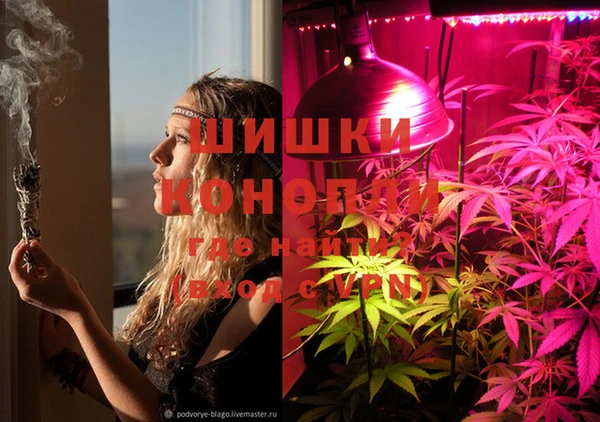PSILOCYBIN Богданович