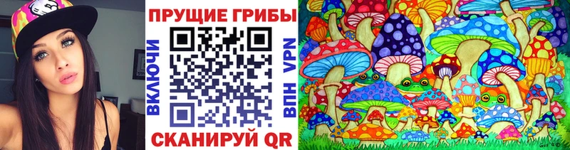 Псилоцибиновые грибы Magic Shrooms  Кирсанов 